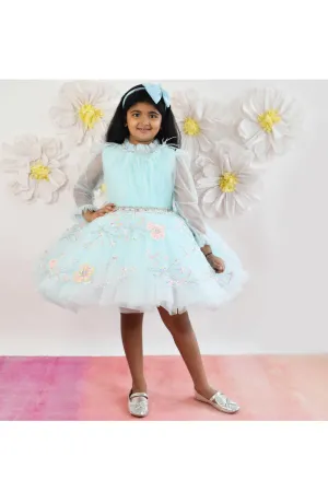 Aqua Blue Floral Embroidered Net Dress