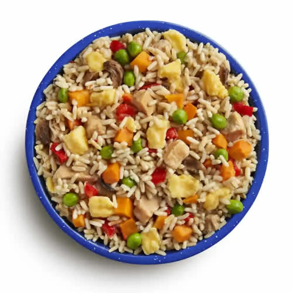 Mountain House CHICKEN FRIED RICE Pouch (2 Servings)