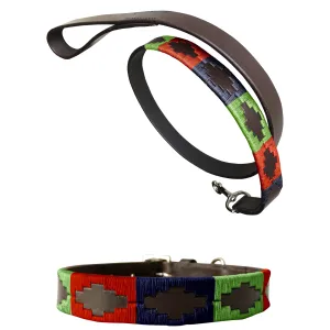 PUIGGARI - Polo Dog Collar & Lead Set