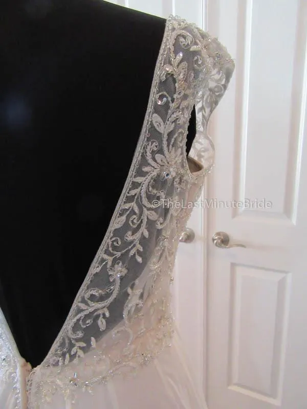 Sophia Tolli Brandyn Y21518